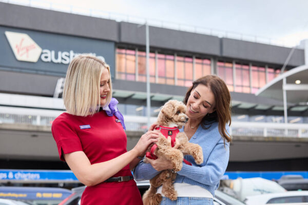 Australia Welcomes Pets in Cabin Flights with Virgin Australia’s New Service, Update You Need to Know