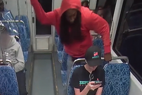 Musk pledges $1 million for memorials honoring Ukrainian refugee murdered on US train