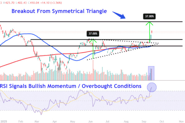Tesla Stock Near Its 2025 High After a 5-Day Win Streak—Key Levels for Investors to Monitor