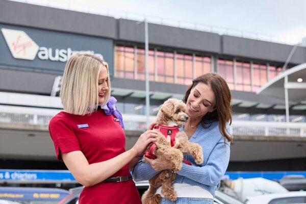 VA trials first-ever Pets in Cabin flights from 16 October