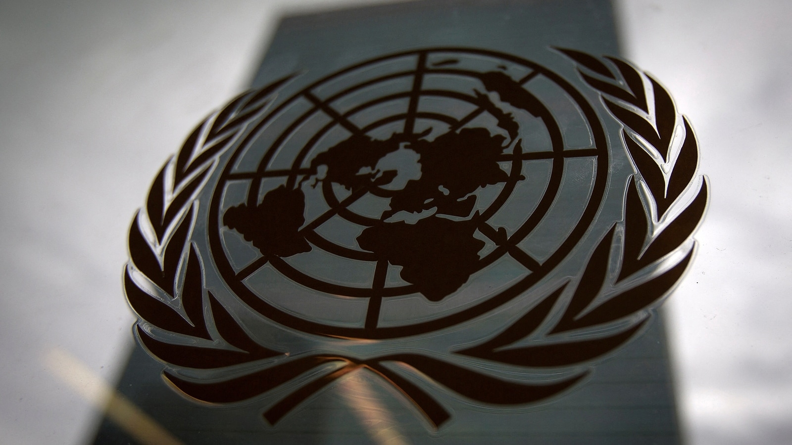 The UN’s grim future | World News