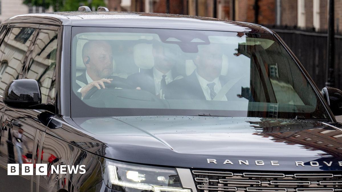 Illuminated: The Cat Killer Detectives