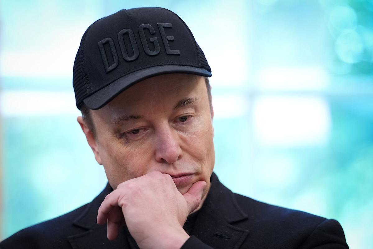 Tesla board chair raises eyebrows with surprising statements about CEO Elon Musk: 'Up to him'