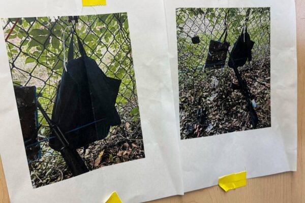 What's known about Ryan Wesley Routh, Trump assassination attempt suspect arrested in Florida