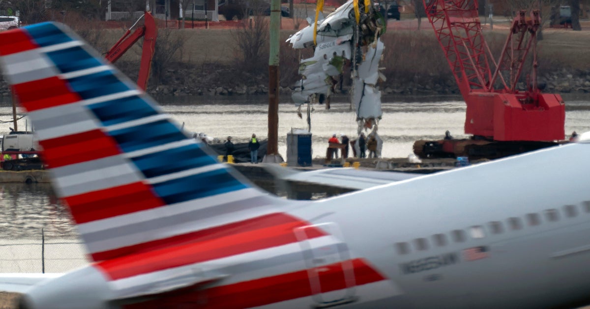 Family of D.C. plane crash victim sues FAA, Army, American Airlines