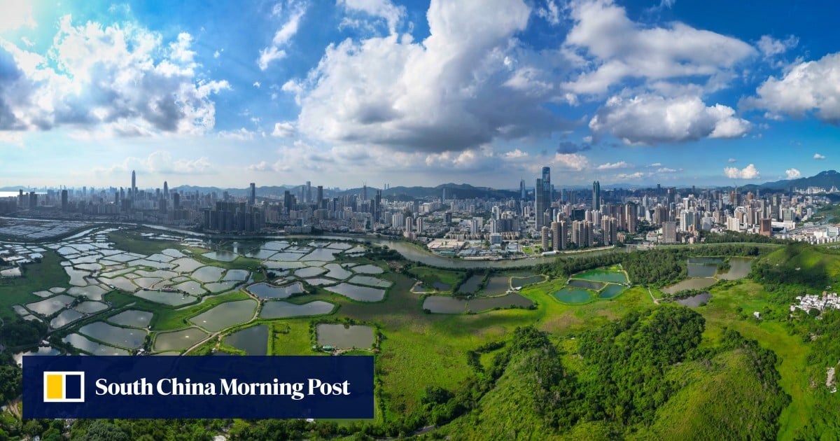 Hong Kong leader to ‘use all possible means to speed up Northern Metropolis work’