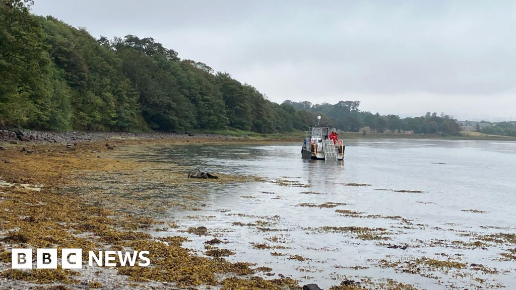 Huge mass of algae removed from Northumberland bay