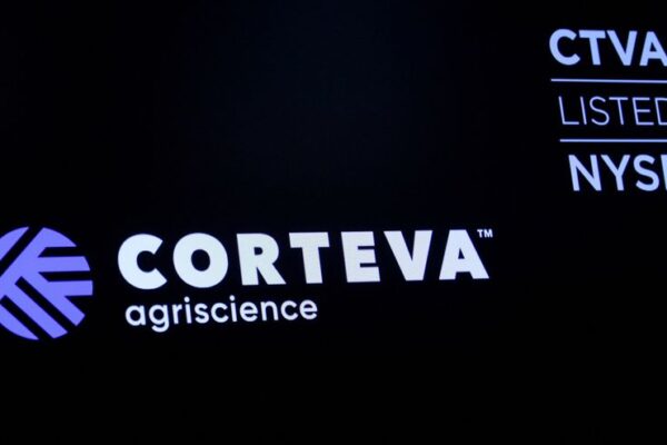 Corteva shares fall as potential split report stirs worries over operational disruptions
