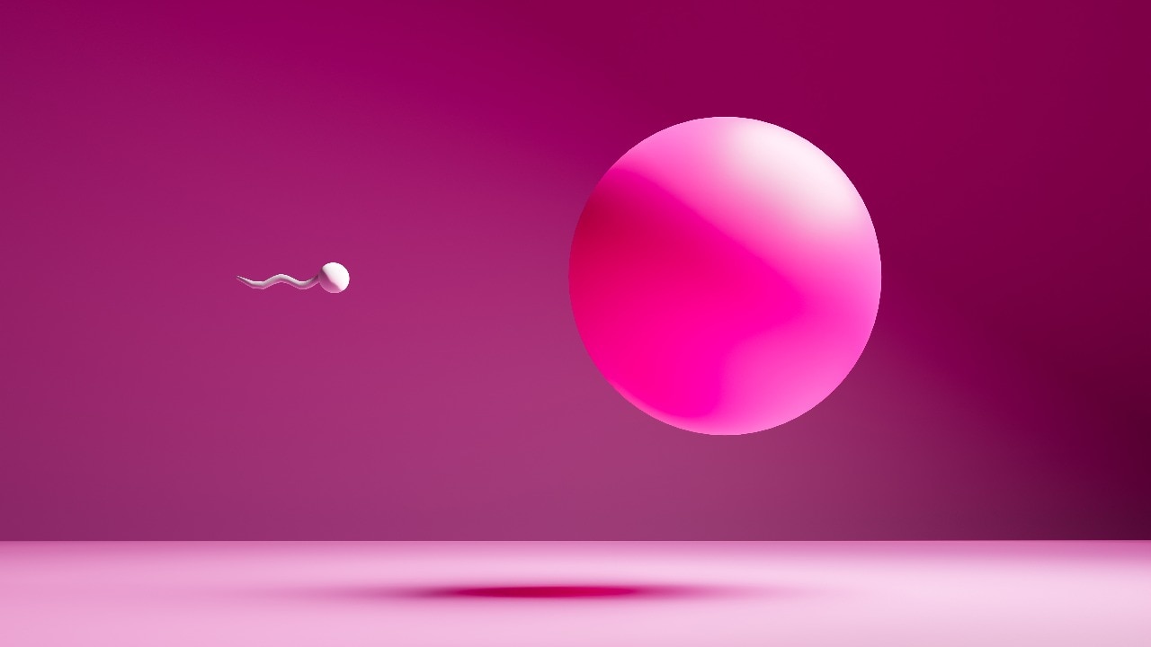 K Annamalai at India Today Conclave South 2025.