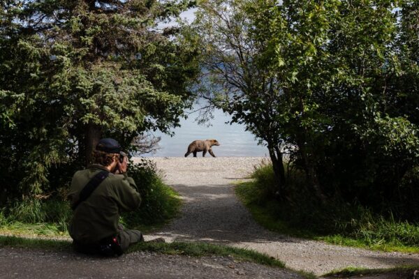 Meet the 2025 Fat Bear Week contenders as Alaska national park kicks off voting