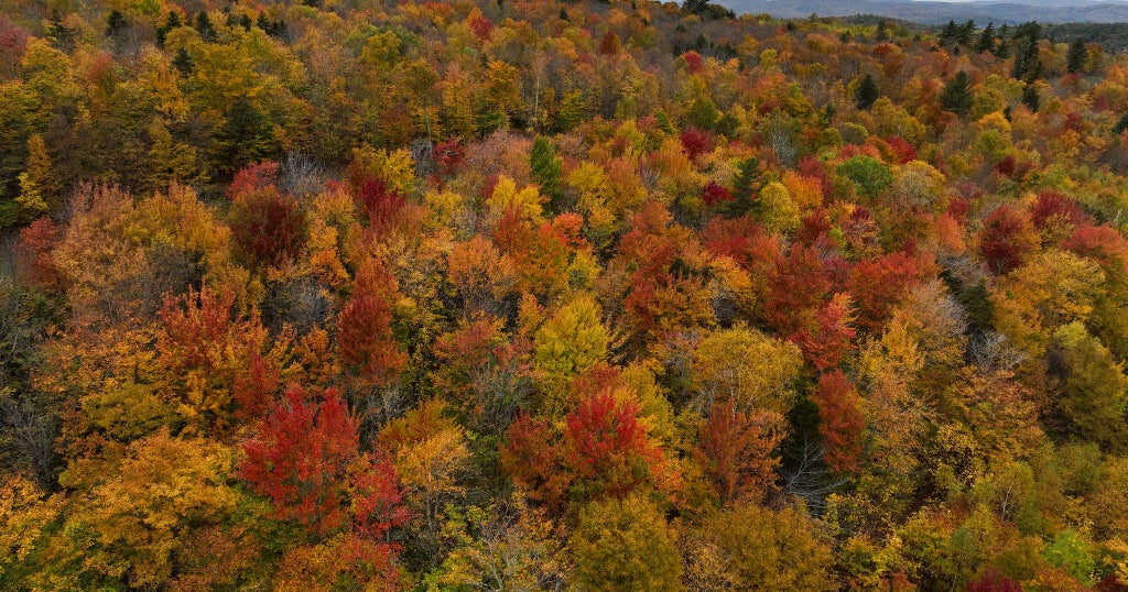 Fall foliage maps show when peak color is expected across the U.S. this year