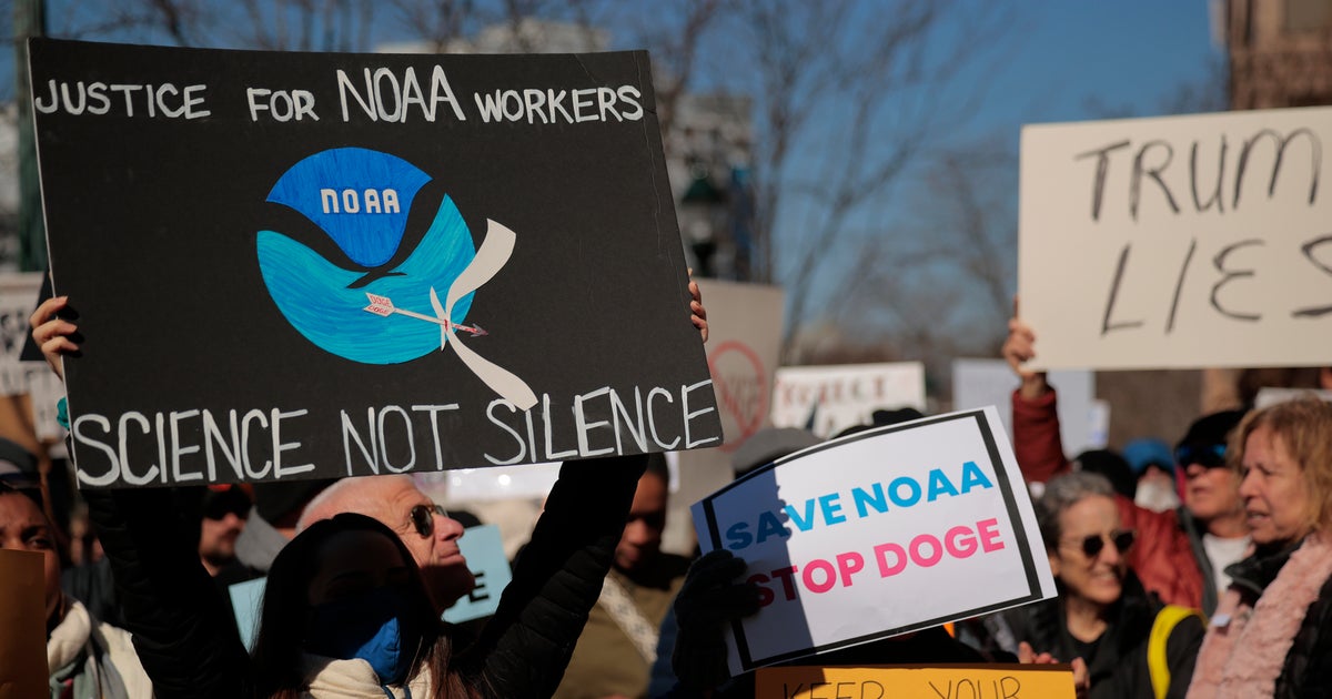 Appeals court rejects states' challenge to mass firings of probationary workers