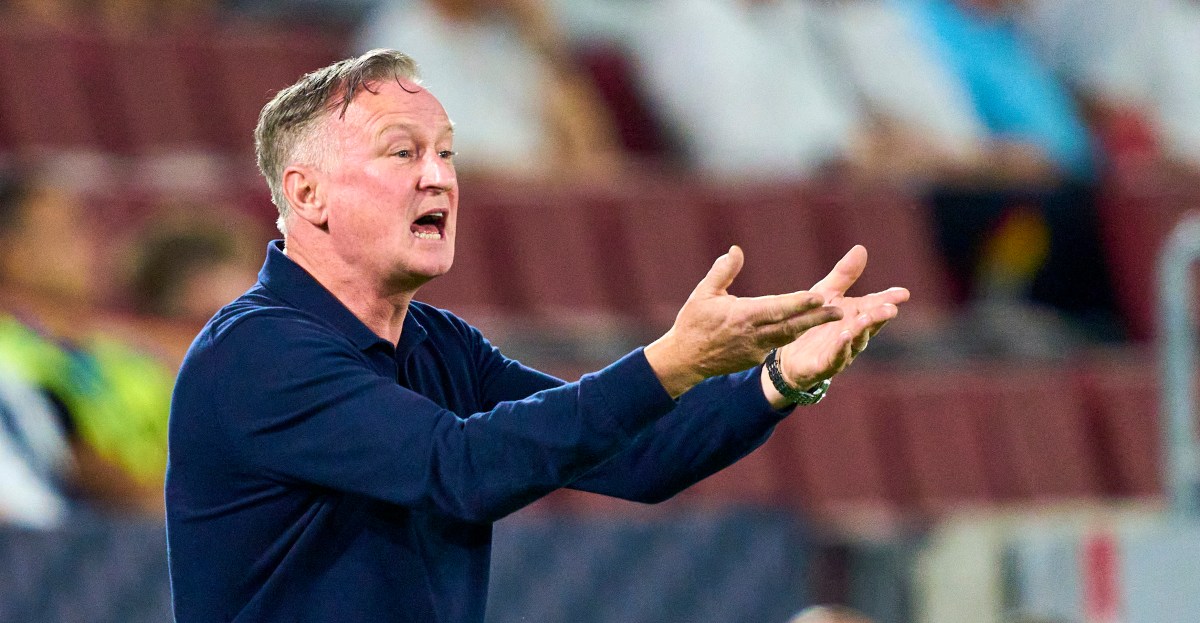 Northern Ireland’s coach upset after defeat to Germany