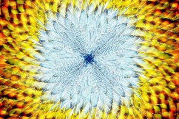 This week on "Sunday Morning" (Sept. 14)