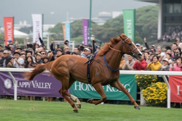 John Lee Aims To Boost Horse Racing Tourism In Hong Kong, Promoting Sha Tin Racecourse As A New Key Attraction For Global Visitors