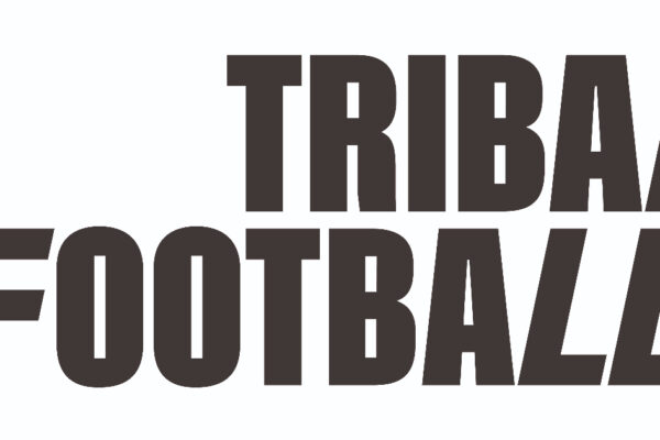 German football baffled as Bayern Munich 'gift' Kusi-Asare to Fulham