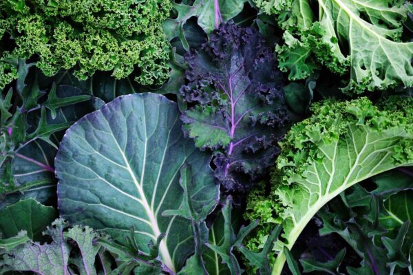 4 Non-Dairy Foods That Are Surprisingly High in Calcium, According to Dietitians