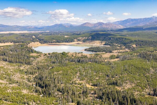 Bear attacks, seriously injures hiker in "surprise encounter" at Yellowstone National Park