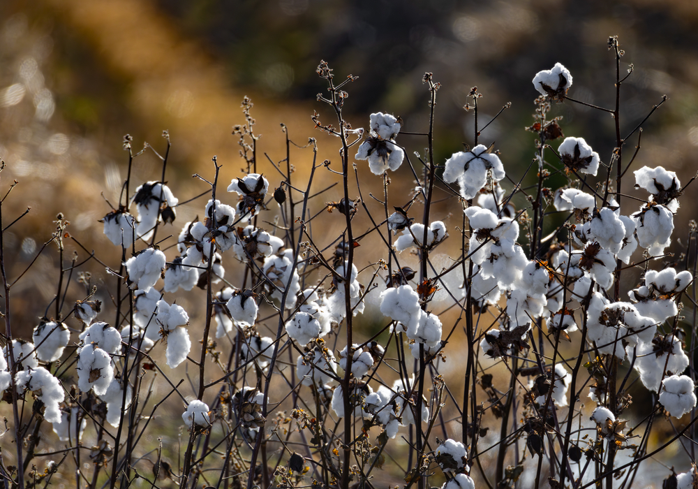 Unreliable Data Exposes the Complexity of Fashion’s Fiber Composition