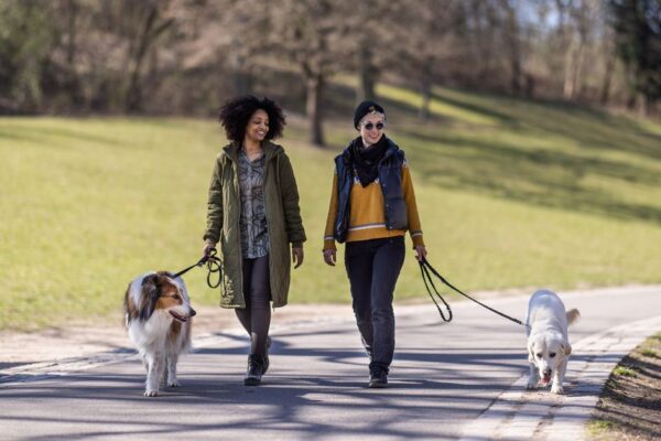 Scientists uncover exact amount of daily steps that improves health and it’s lower than 10,000 Daily Mirror