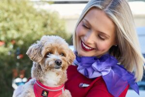 'Biggest issue for me': Vet's warning ahead of pets boarding flights in Australia-first Virgin airlines initiative
