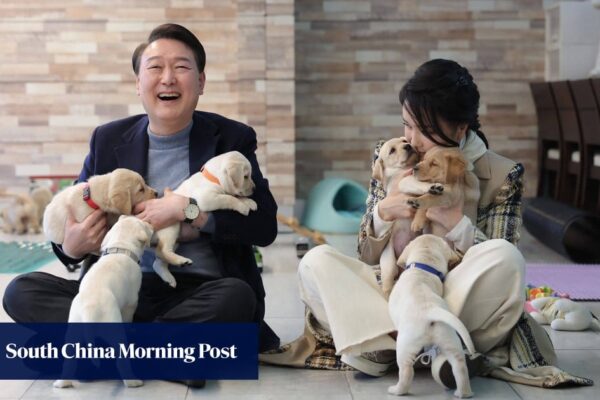 Did South Korea’s Yoon make ‘absurd demands’ for pet treatment on Paris trips? Did South Korea’s Yoon make ‘absurd demands’ for pet treatment on Paris trips?