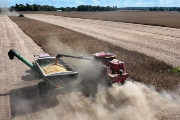 Soybean farmer details how trade war with China is impacting his business