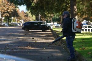 Inside the fight to quiet leaf blowers Inside the fight to quiet leaf blowers