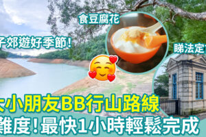 親子郊遊｜0難度！5大小朋友BB行山路線 最快1小時完成