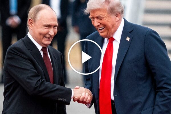 Zelensky Seeks More Weapons as Trump Plans Putin Meeting Zelensky Seeks More Weapons as Trump Plans Putin Meeting