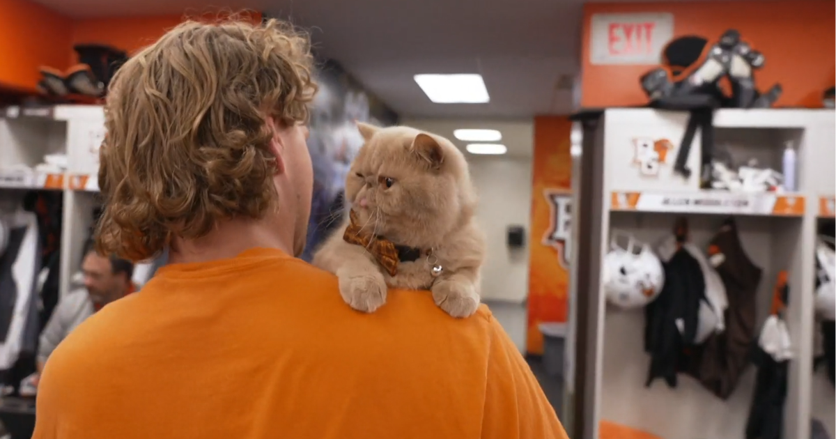 Pudge, Bowling Green's unlikely new football mascot, is attracting a legion of fans