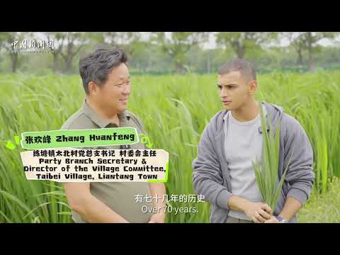 How do I reimagine “Rural China” in Shanghai?