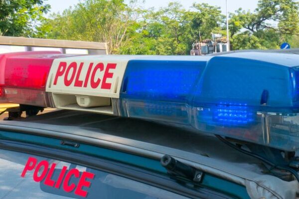 Moga police return 250 mobile phones recovered to owners, warns against undocumented purchases Moga police return 250 mobile phones recovered to owners, warns against undocumented purchases