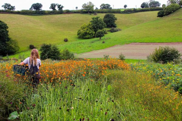 The Rise Of ‘Grown In The UK’ Fashion