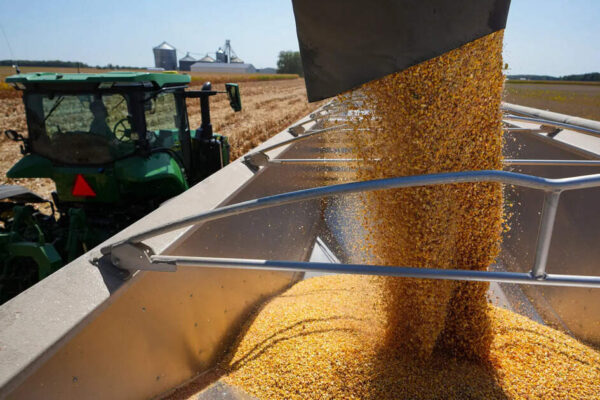 soybeans latest news today: China didn’t buy US soybeans in September at all- here’s where its record imports came from