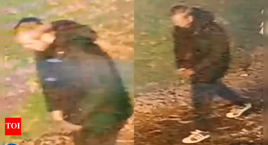 'Racially aggravated attack': 20-year-old Indian-origin woman raped near London; cops release image of accused