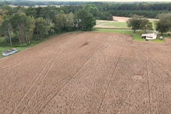 Tariffs, US vs China: NC farmers worried as soybeans become latest victim of trade war