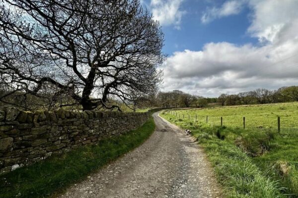 Egerton village with walks, pubs, local stories and more