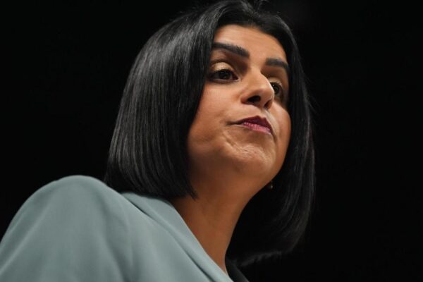 European human rights watchdog triggers row with Government over warnings