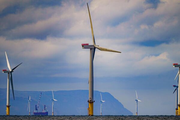 Poll suggests most Reform UK voters back investment in renewable energy