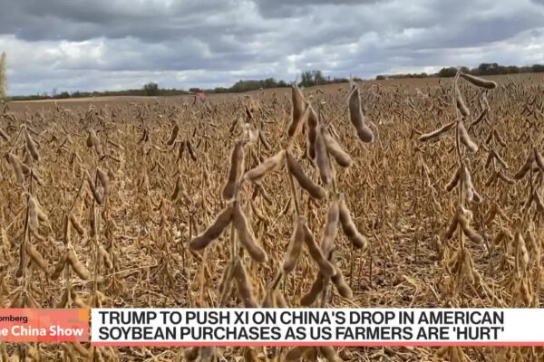 Trump Set to Discuss Soybean Purchases With China's Xi
