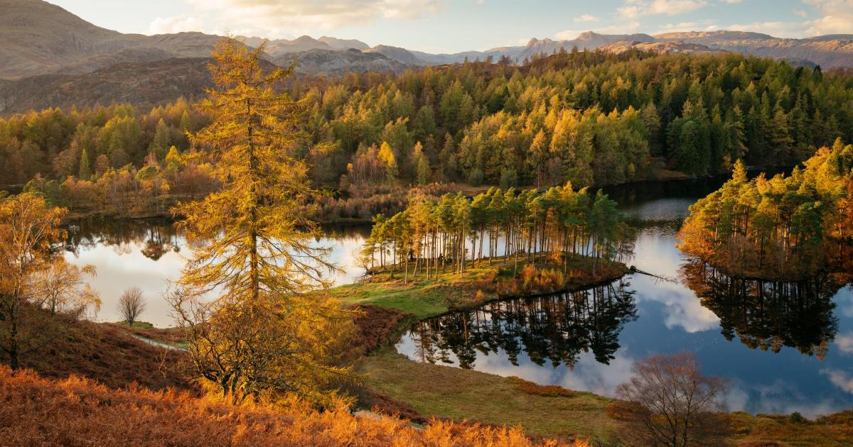 Lake District ranked in UK's top 5 leaf-peeping destinations