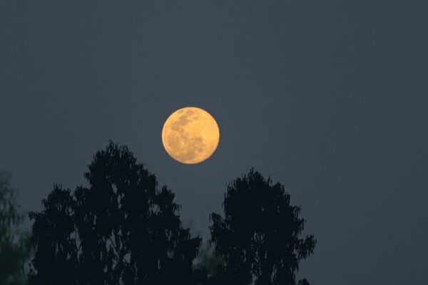 How to see the Harvest supermoon above the UK in October
