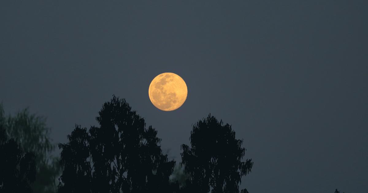 How to see the Harvest supermoon above the UK in October