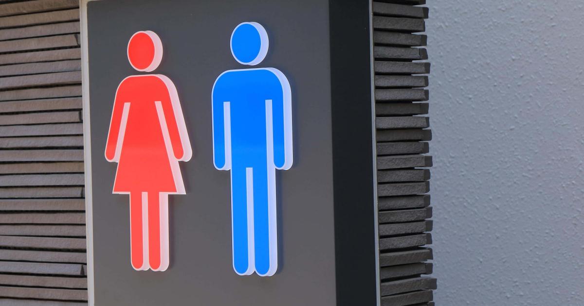 Engineer used ‘secret’ toilet after trans colleague encounter, tribunal told