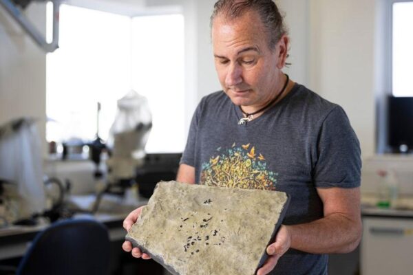 Jurassic ancestor to lizards and snakes discovered in UK