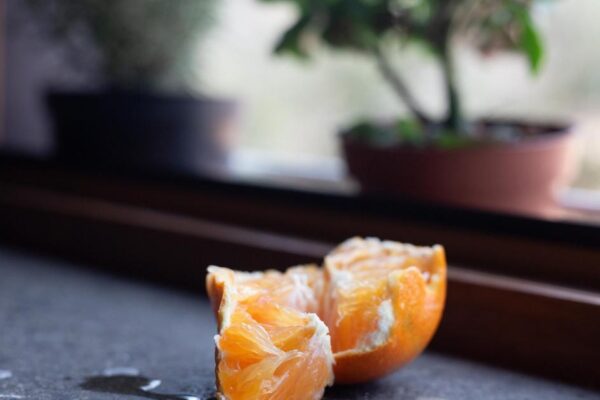 How to keep ladybirds away from UK homes using citrus