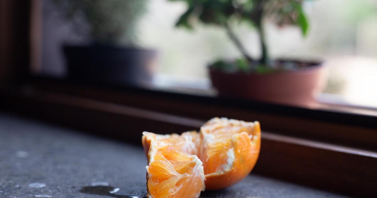 How to keep ladybirds away from UK homes using citrus