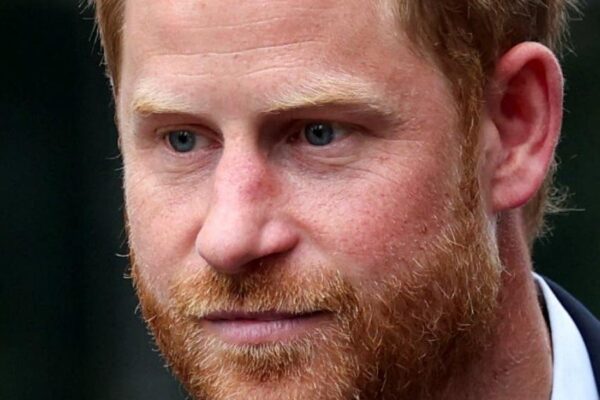 Chad ends Harry charity mandates to manage wildlife reserves