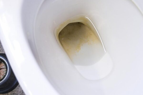 UK households can use lemons to help remove toilet limescale